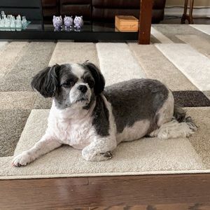 Meet your Posher, Leon